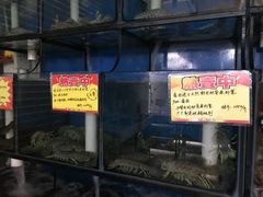 -蚝专家(北滘店)