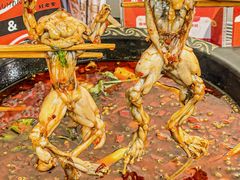 -蛙老爹·蜀香美蛙鱼头(王家湾店)