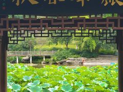 -龙头寺公园