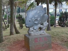 -临高角