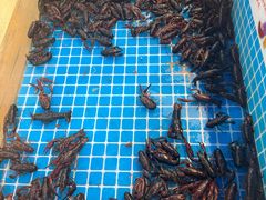 -加尔森烤肉海鲜·火锅烧烤自助