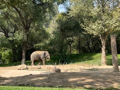 -北京野生动物园