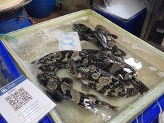 -兰坡海鲜市场