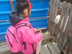 -小鱼草莓采摘园农家乐·小鱼餐厅