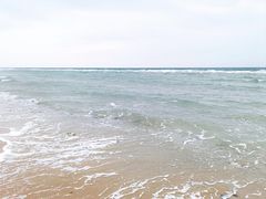-贝壳沙滩