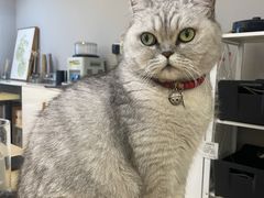 -Oasis绿洲银饰珍珠手作diy(壹方城店)