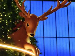 -深圳湾万象城(南山店)