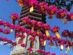 -西海子公园