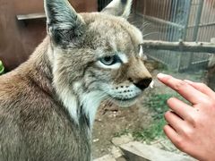 -青藏高原野生动物园