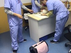 -美联众合动物医院(·中兽医·疑难杂症·严家桥分院)
