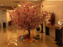 -国家会议中心大酒店