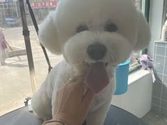 -宠颐生动物医院·心脏科·保险定点(锦阳分院)