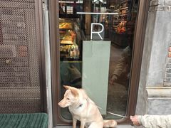 -星巴克臻选(上海今潮8弄店)