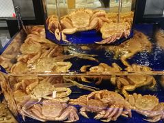 -蟹道乐(道顿堀本店)