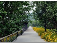 -西湖风景区-江洋畈生态公园