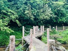 -碧峰峡风景区