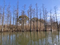-同里国家湿地公园