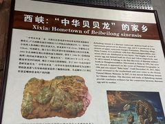 -中国西峡恐龙遗迹园