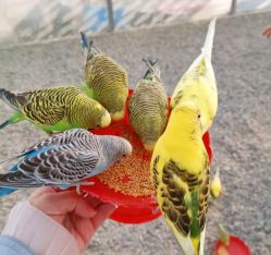 -萌宠亲子动物乐园(槐房万达店)