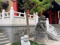 -灵谷景区