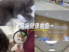 -美联众合动物医院·24h京西诊疗中心