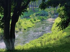 -两河城市森林公园