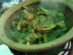 -霞姐屯昌枫木香草鸭店(海螺店)