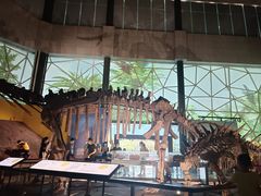 -湖南省地质博物馆