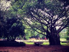 iphone_upload_pic-东部华侨城