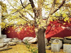 -北京石刻艺术博物馆(五塔寺)