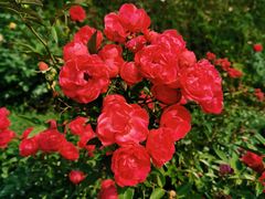 -人民公园(罗湖区)