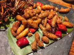 -云海肴·汽锅鸡·云南菜(天山百盛优客店)