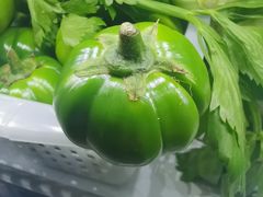 -腾冲大加工饮食文化园