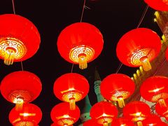 -北京世界公园