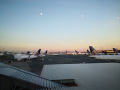 -纽瓦克自由国际机场