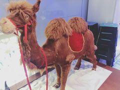 -哈密古丽新疆餐厅(江北融创店)