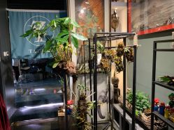 -周忆刺青原创设计定制