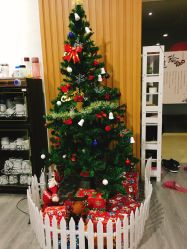 -榕树上·瑜伽普拉提