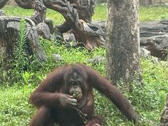 -杭州野生动物世界