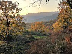 -塔川景区
