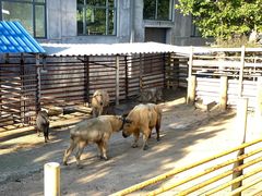 -西霞口神雕山野生动物世界