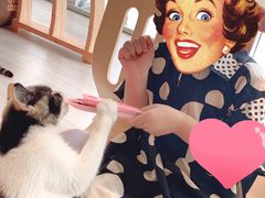 -藏猫猫咖啡主题馆(中央大道店)