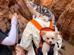 -天山神秘大峡谷