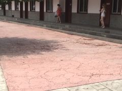 -海豚湾梦幻水上乐园