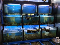 -老东镇啤酒屋海鲜加工·蒸汽海鲜·海鲜烧烤(台东店)