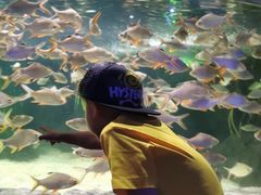 -多彩贵州城极地海洋世界