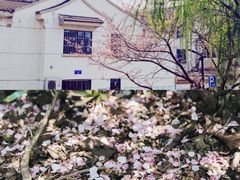 -常熟方塔园