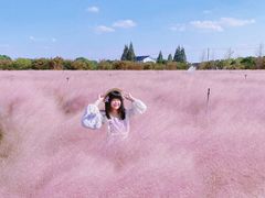 -鹅湖玫瑰文化园
