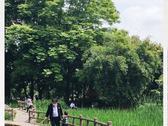 -成都市活水公园