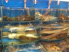 -渔中舟海鲜大排档(普陀沈家门店)